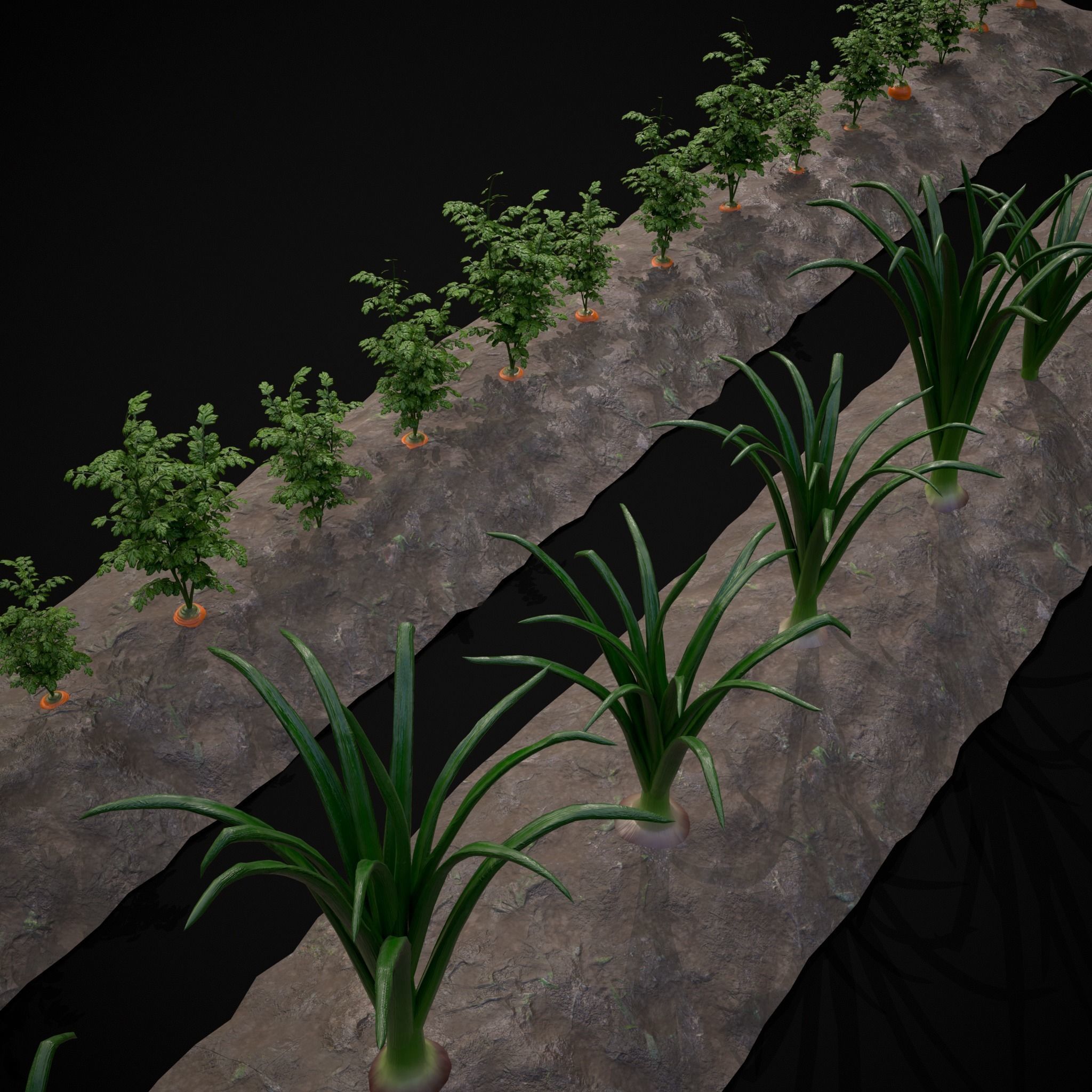 Crops Carrots and Red Onions 3D Model Collection_6