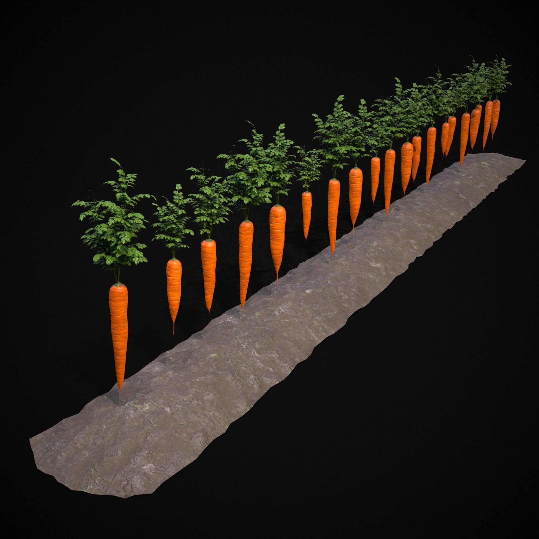 Crops Carrots and Red Onions 3D Model Collection_19