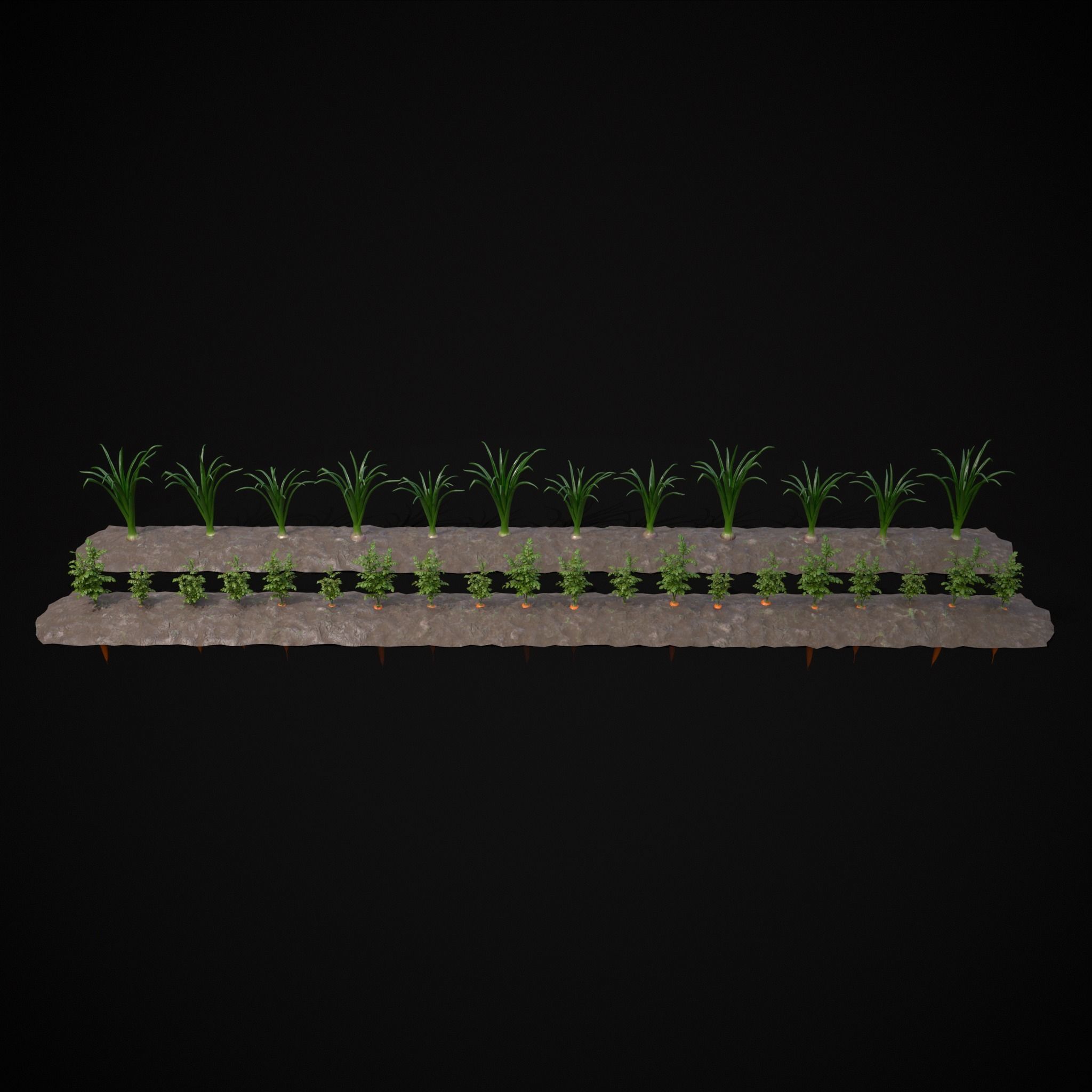 Crops Carrots and Red Onions 3D Model Collection_10