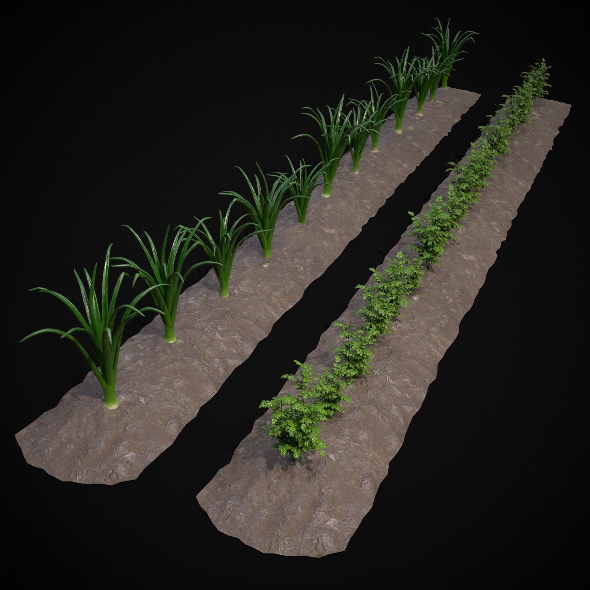 Crops Carrots and Red Onions 3D Model Collection_2