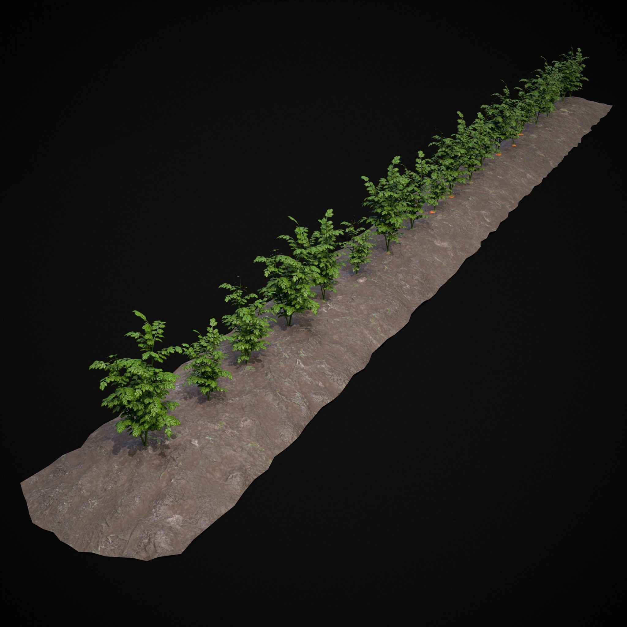 Crops Carrots and Red Onions 3D Model Collection_14