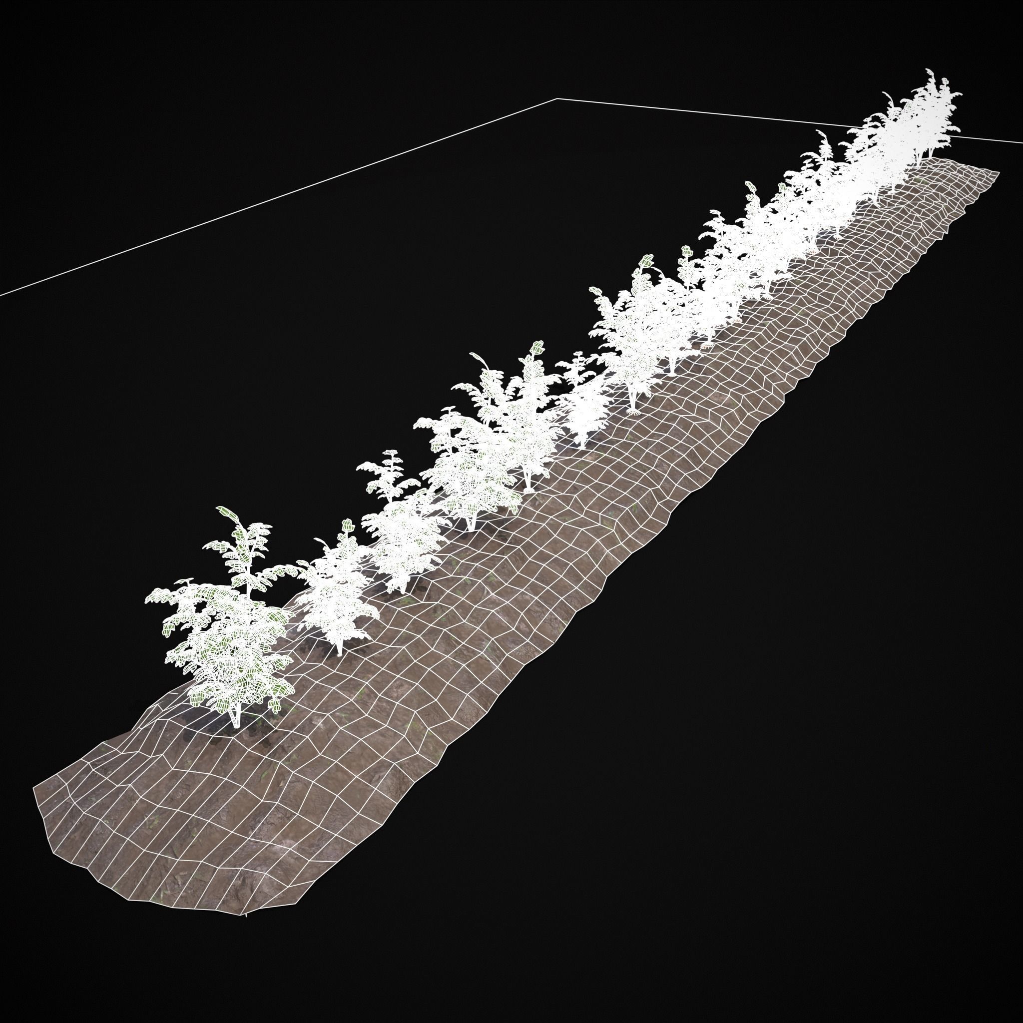 Crops Carrots and Red Onions 3D Model Collection_15