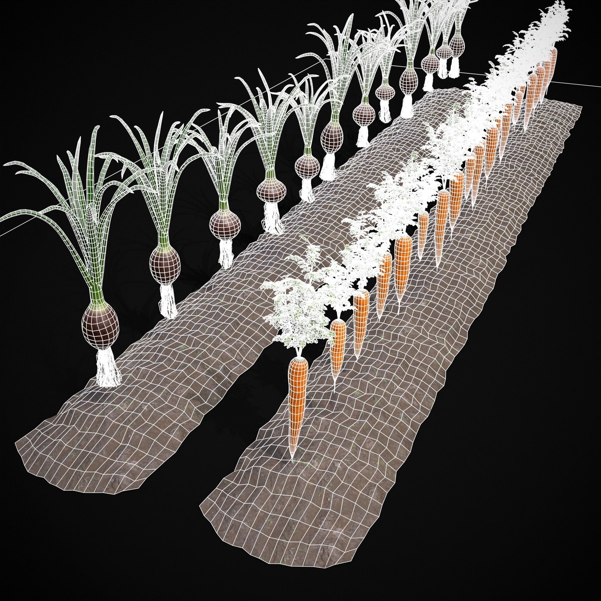 Crops Carrots and Red Onions 3D Model Collection_5