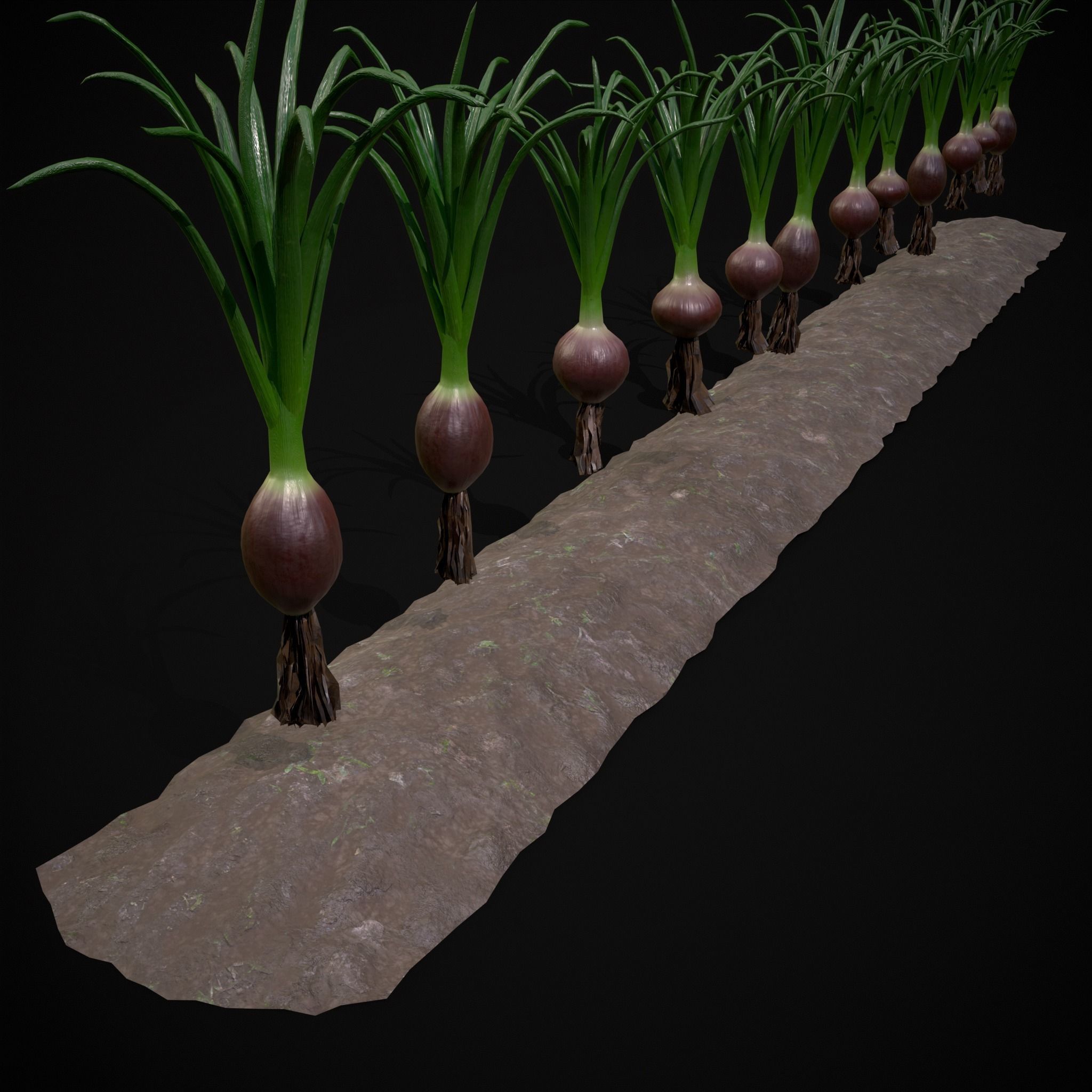 Crops Carrots and Red Onions 3D Model Collection_26