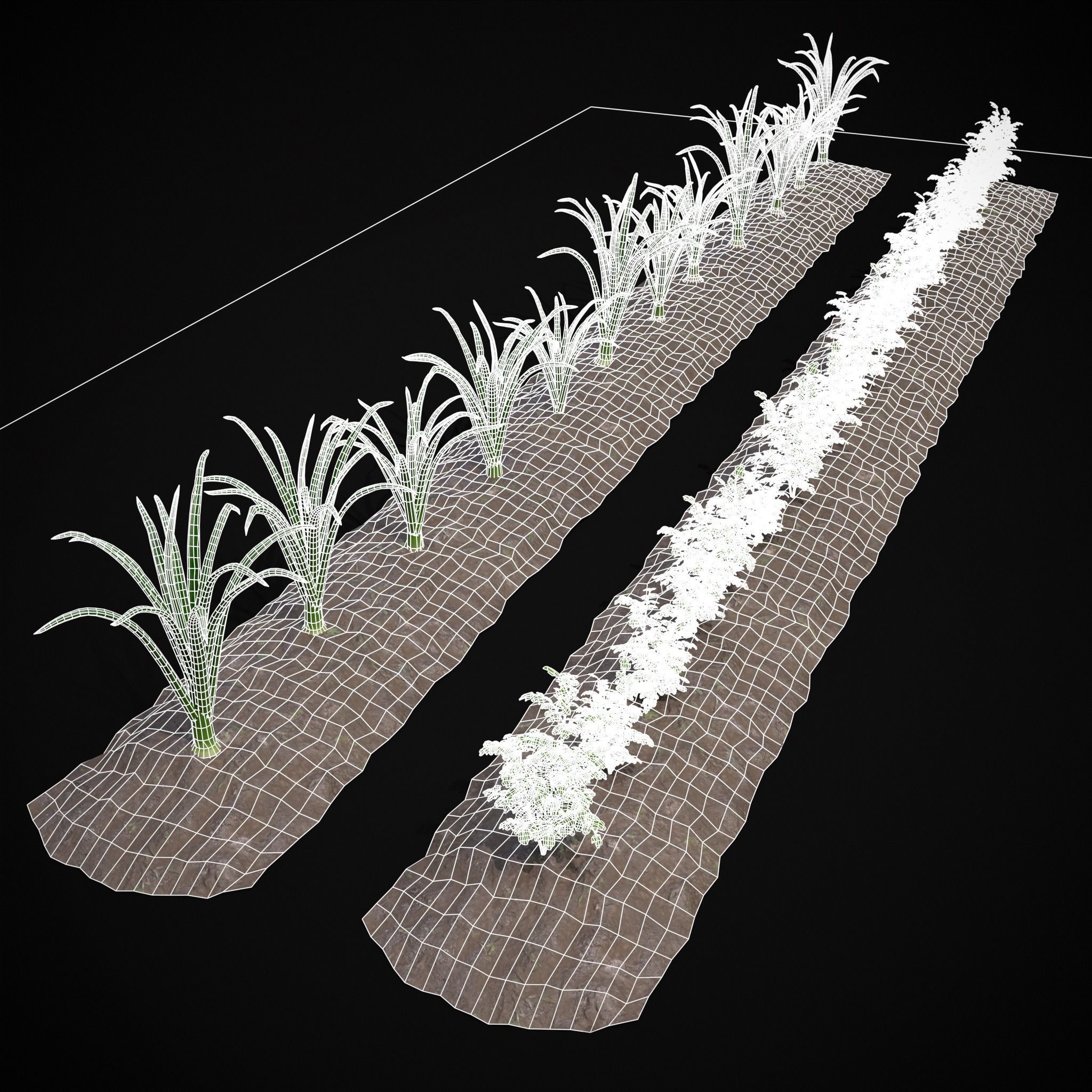 Crops Carrots and Red Onions 3D Model Collection_3