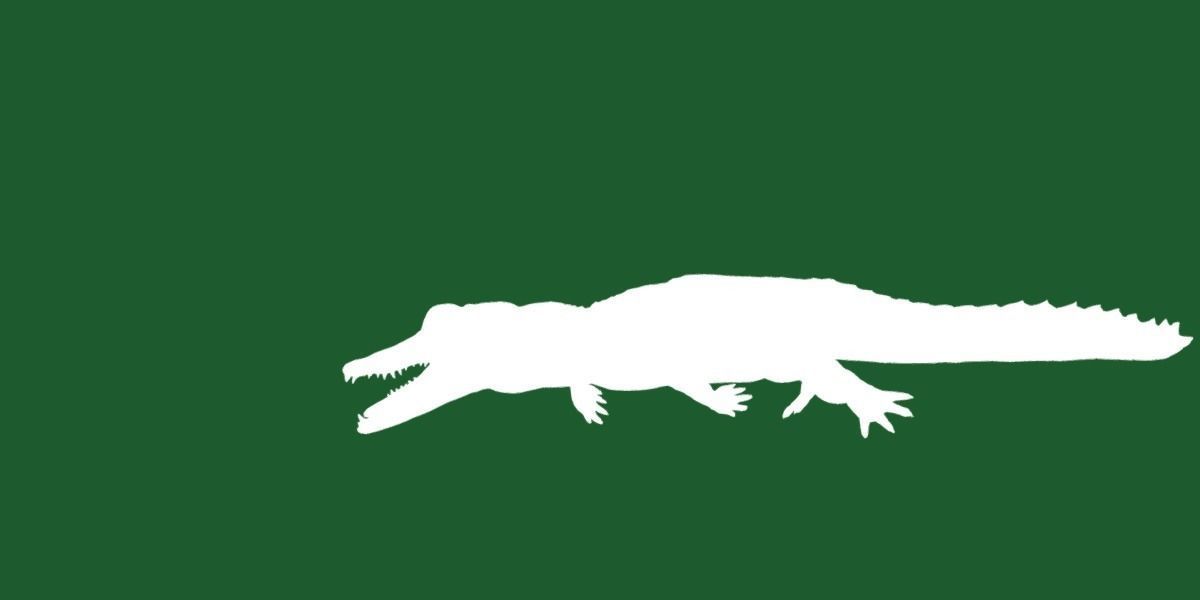 American Crocodile 3D model_26