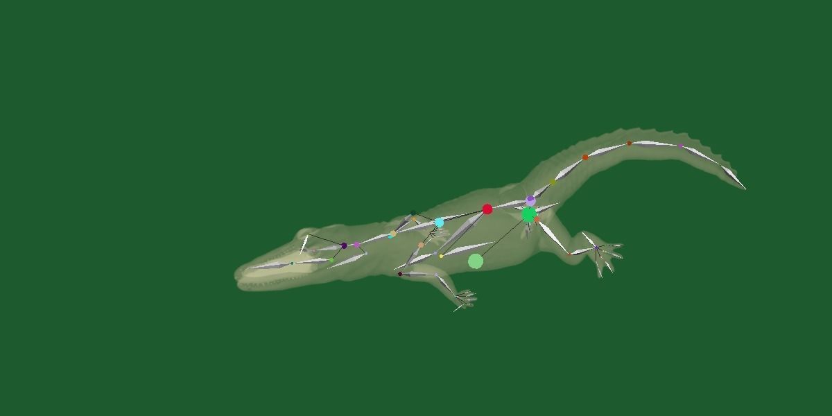 American Crocodile 3D model_23