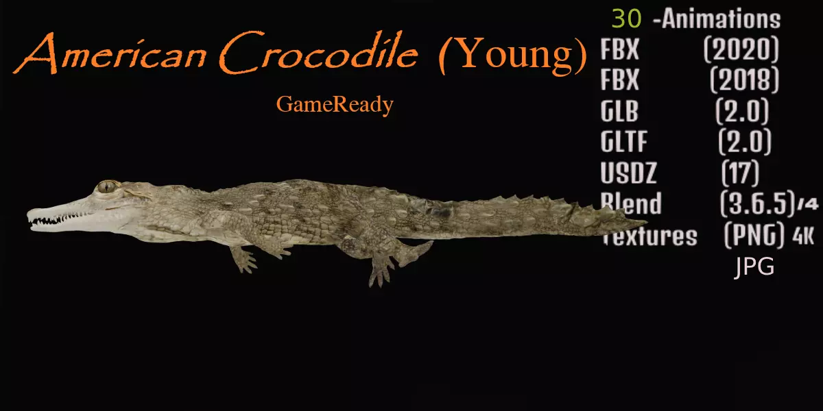 American Crocodile 3D model_0