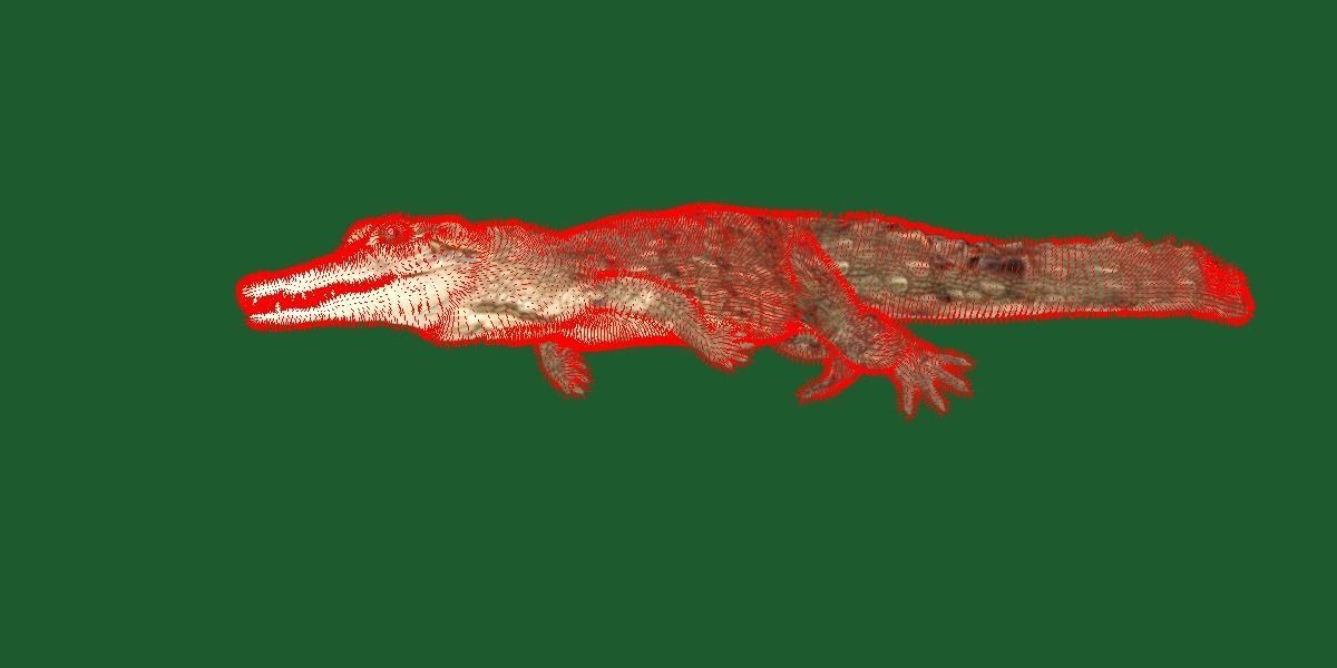 American Crocodile 3D model_13