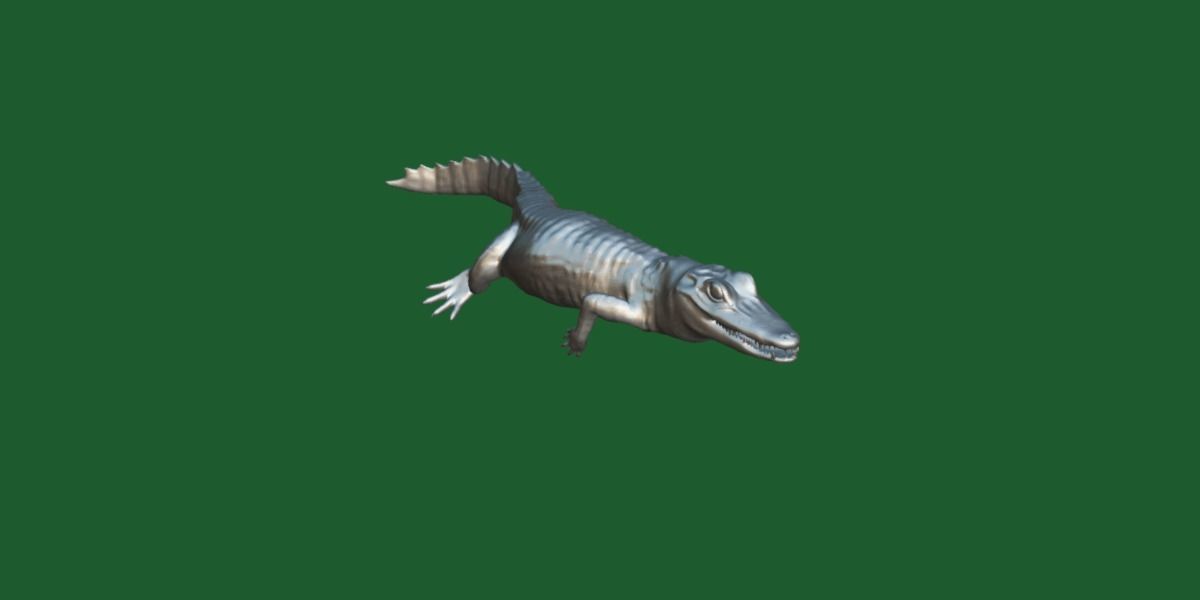 American Crocodile 3D model_11