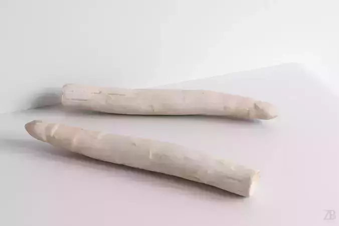 Asparagus 3D model