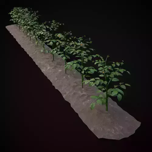 Crops Potatoes Low-poly 3D model