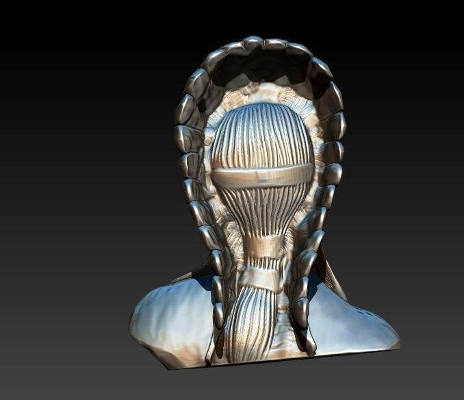 Native American Proud 3D print model_2