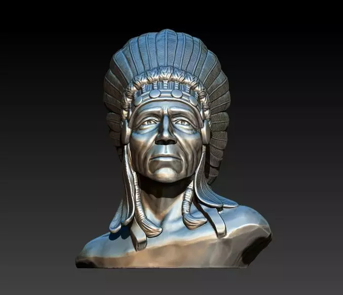 Native American Proud 3D print model_0