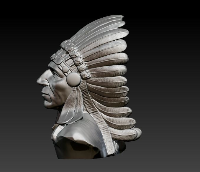 Native American Proud 3D print model_10