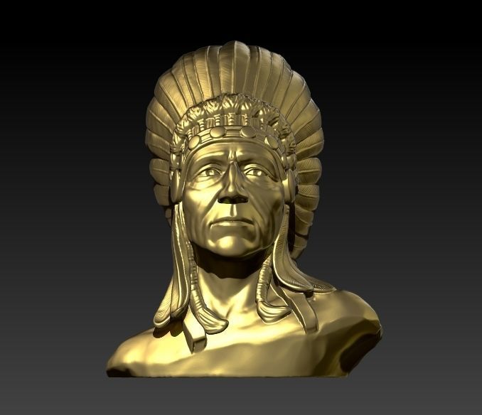 Native American Proud 3D print model_4