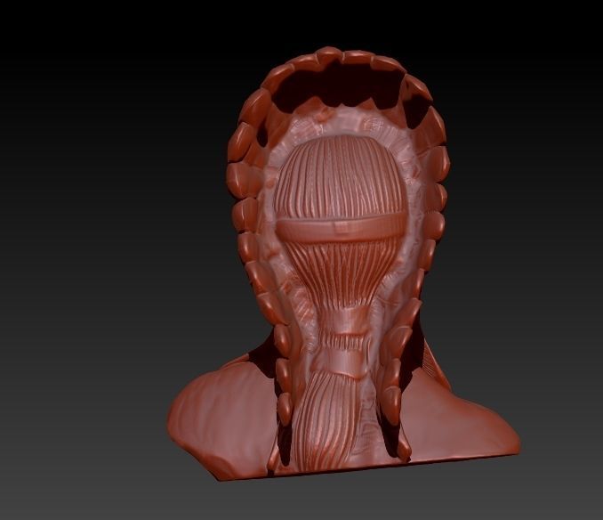 Native American Proud 3D print model_15