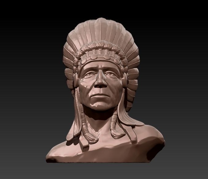 Native American Proud 3D print model_5