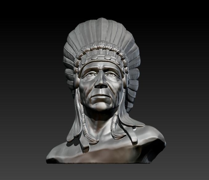 Native American Proud 3D print model_9