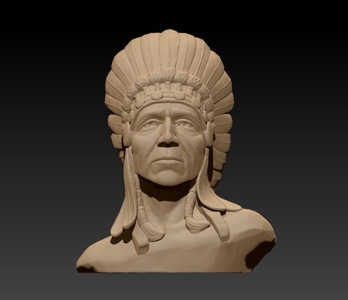 Native American Proud 3D print model_8