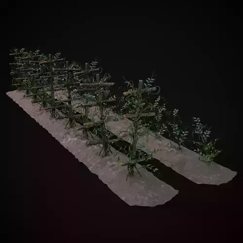 Crops Peas Plants Low-poly 3D model
