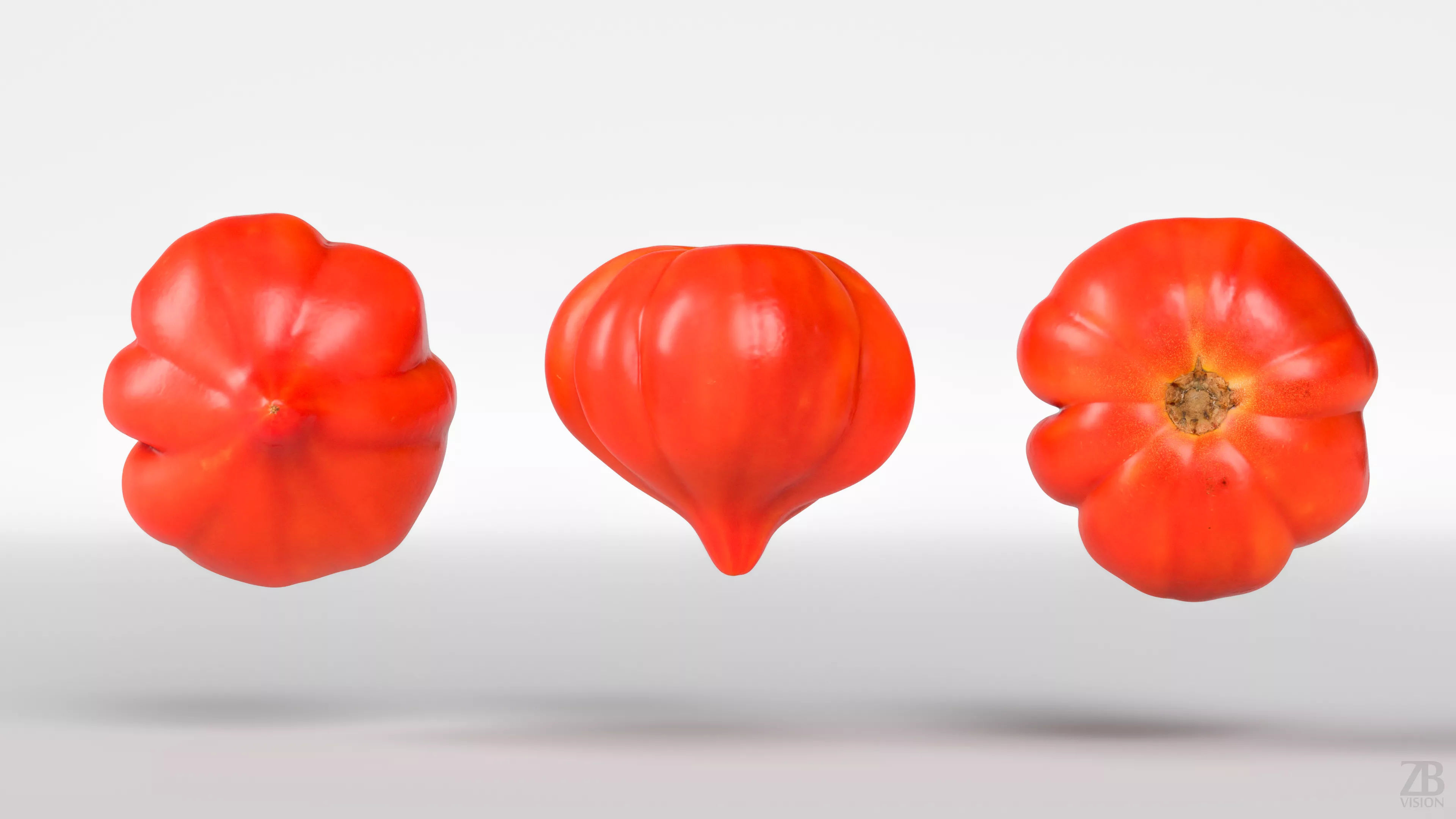 Tomato 3D model_4