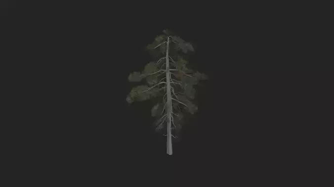 Tree 3D Model 029