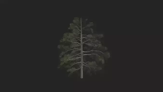 Tree 3D Model 030
