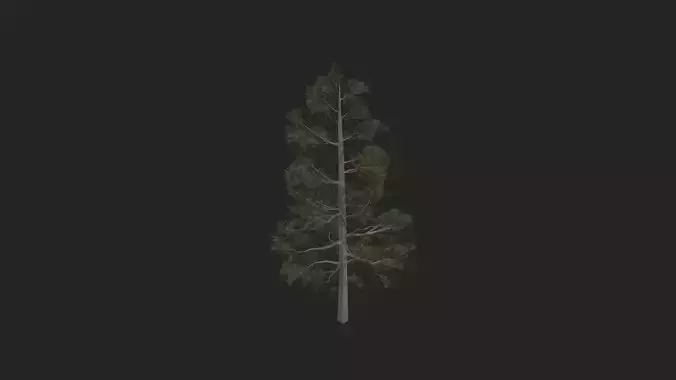 Tree 3D Model 031