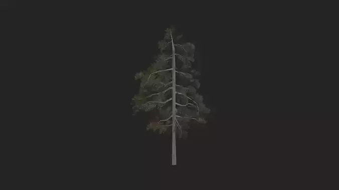 Tree 3D Model 032