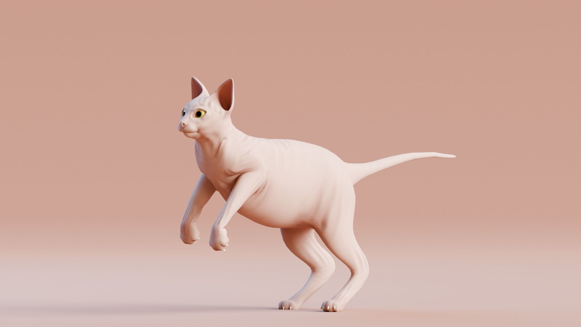Low poly - Stylized cats - Sphynx Cat  Low-poly 3D model_2