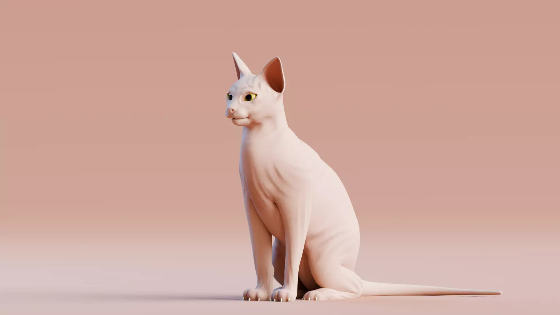 Low poly - Stylized cats - Sphynx Cat  Low-poly 3D model_0