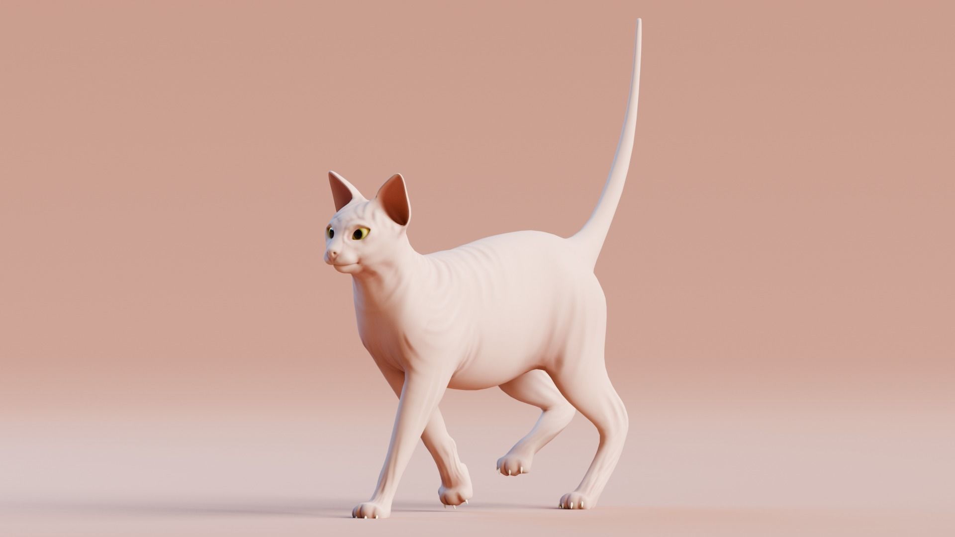 Low poly - Stylized cats - Sphynx Cat  Low-poly 3D model_4