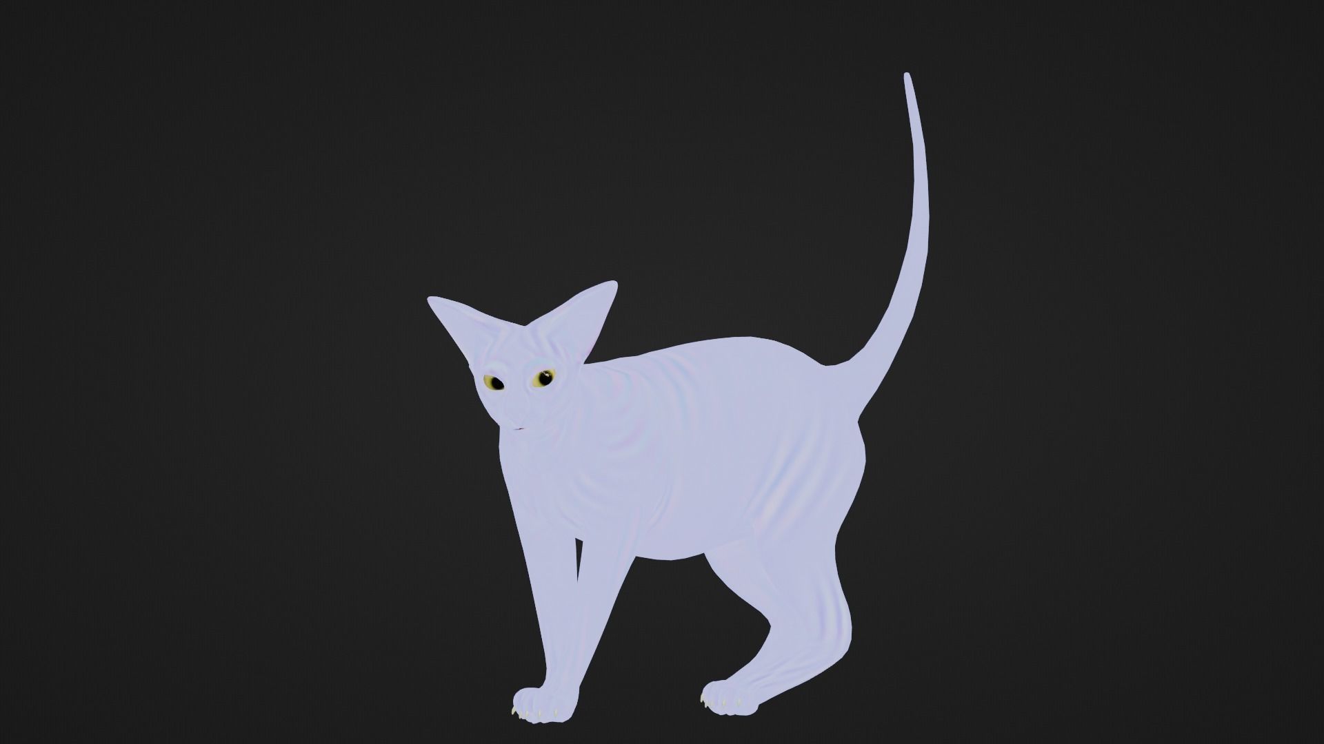 Low poly - Stylized cats - Sphynx Cat  Low-poly 3D model_7