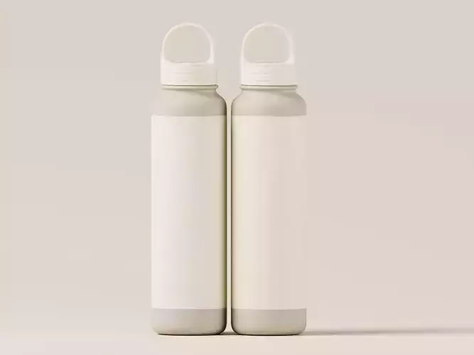 Insulated Drinking Bottle 3D Model