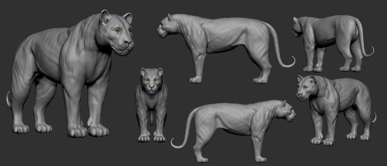 Tiger 3D model Low-poly 3D model_1