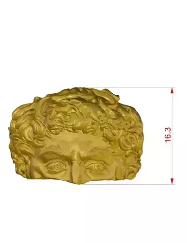 David Michelangelo Ring