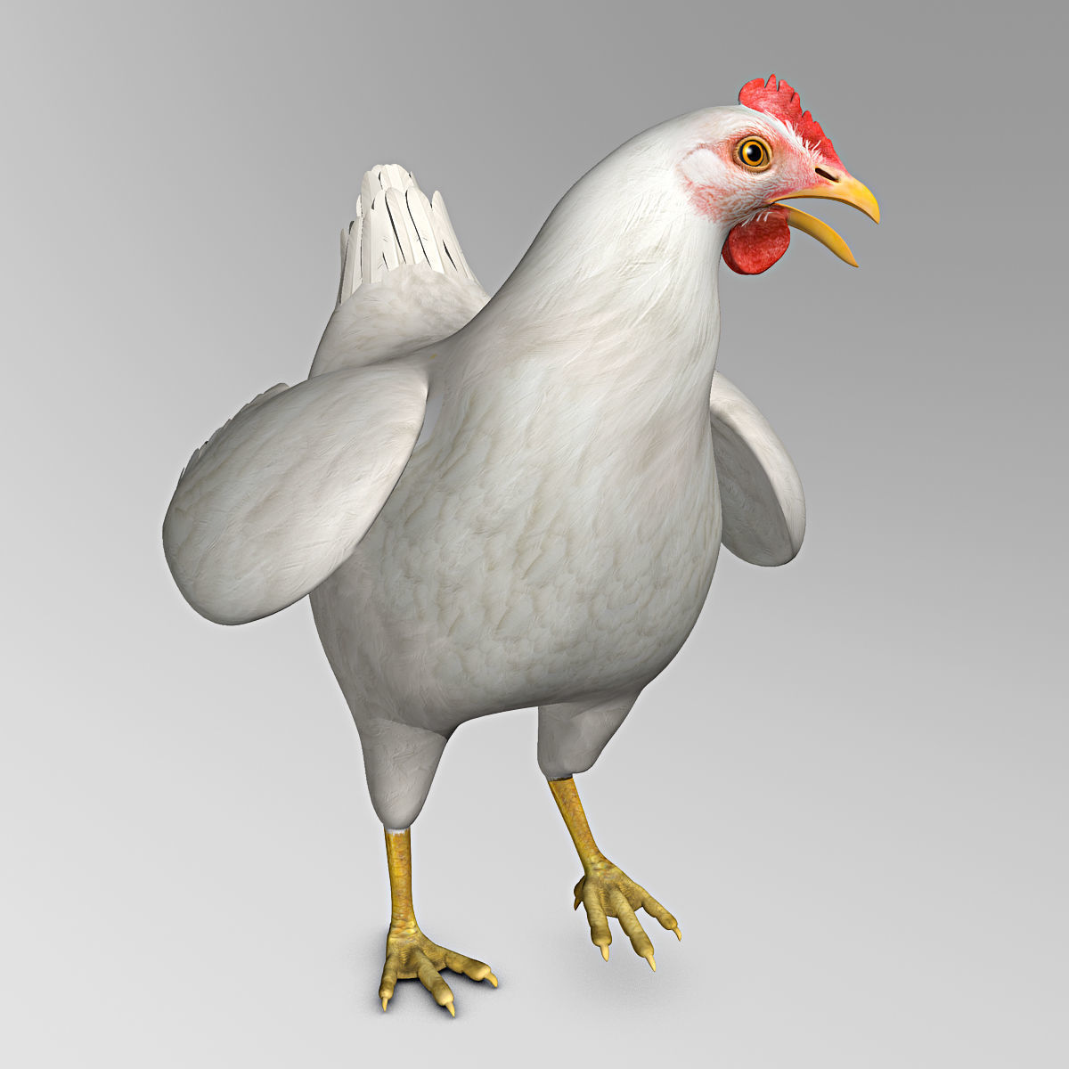 Chicken - White 3D model_2