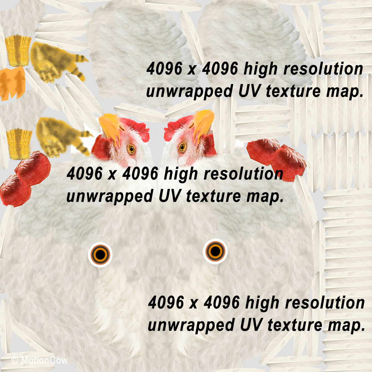 Chicken - White 3D model_15