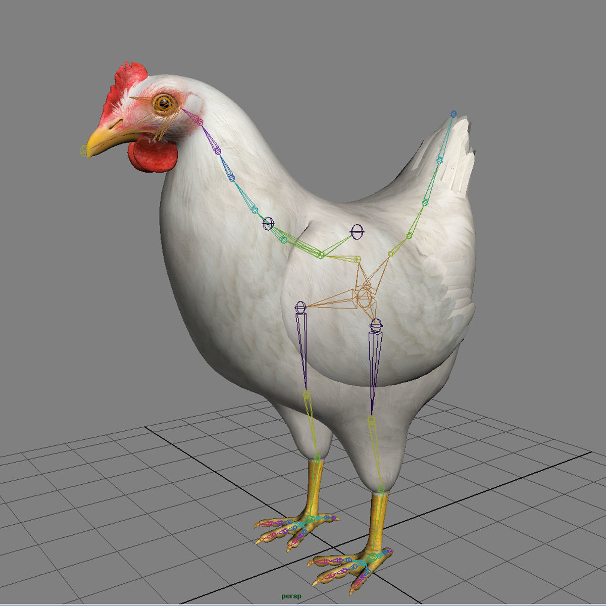 Chicken - White 3D model_12