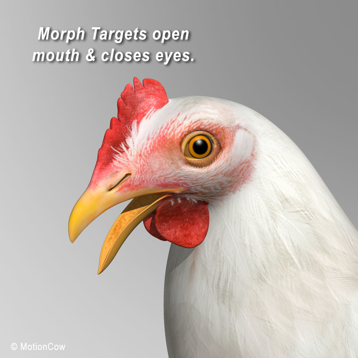 Chicken - White 3D model_9