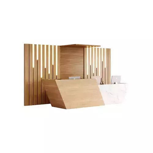 Contemporary Reception 19