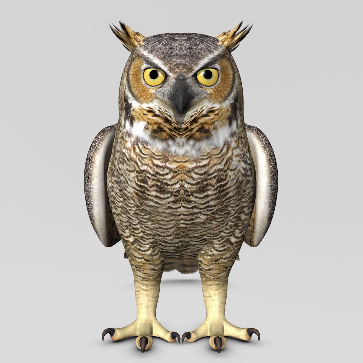 Great Horned Owl - Folded Wings 3D model_8
