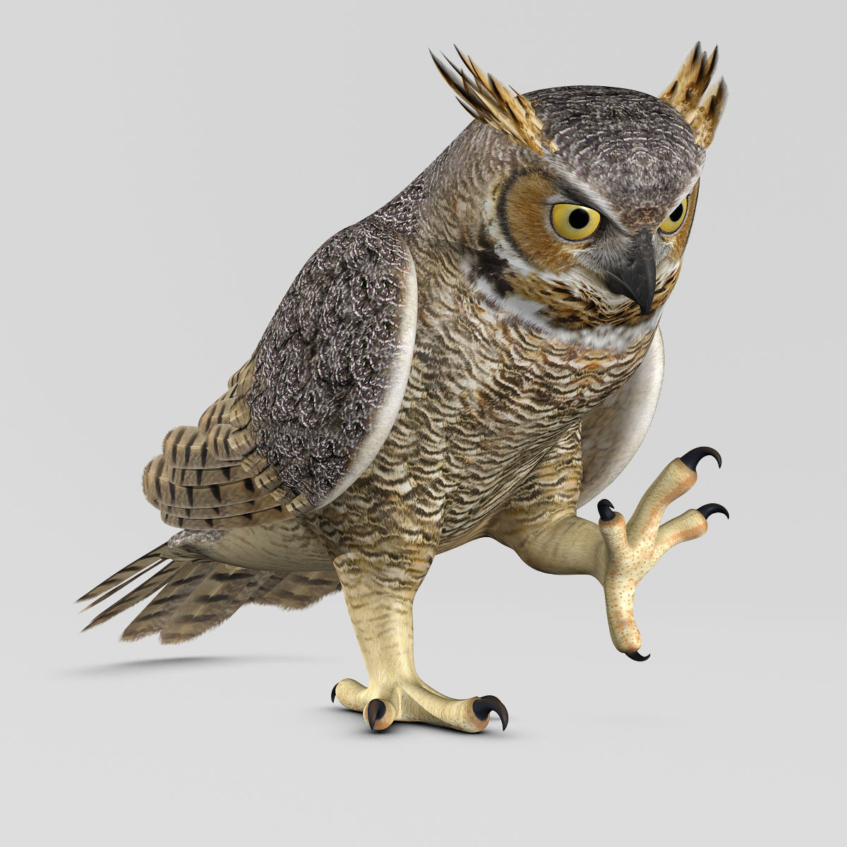 Great Horned Owl - Folded Wings 3D model_4