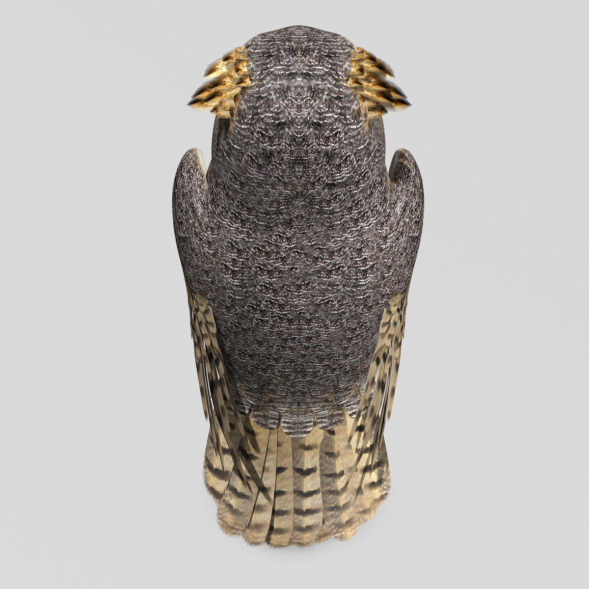 Great Horned Owl - Folded Wings 3D model_11