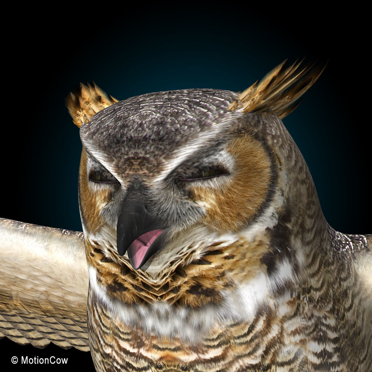 Great Horned Owl - Flight 3D model_11