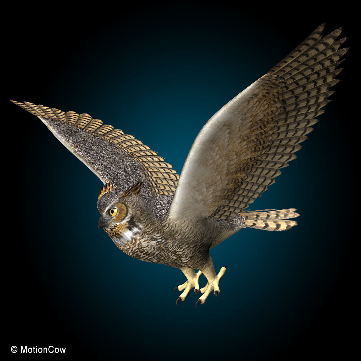 Great Horned Owl - Flight 3D model_2