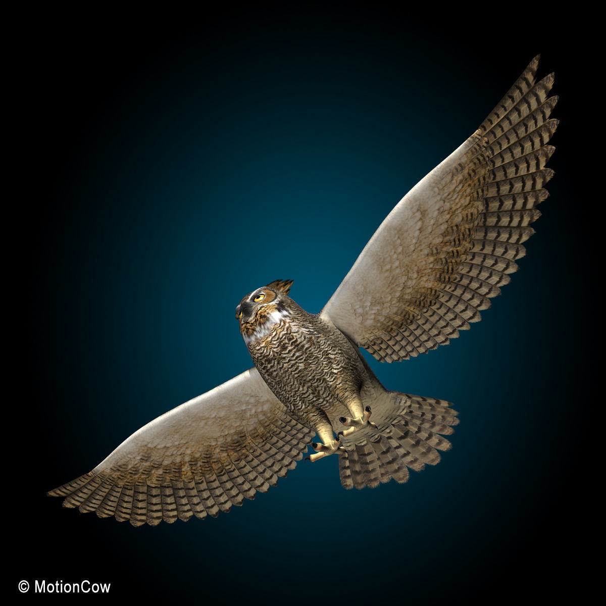 Great Horned Owl - Flight 3D model_3