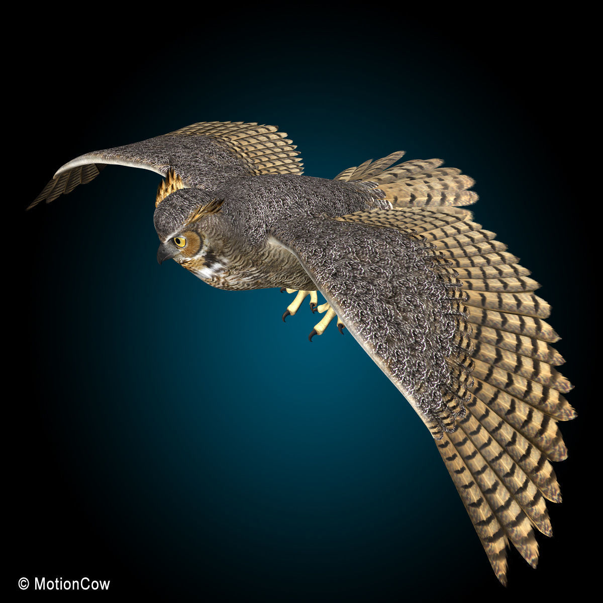 Great Horned Owl - Flight 3D model_4
