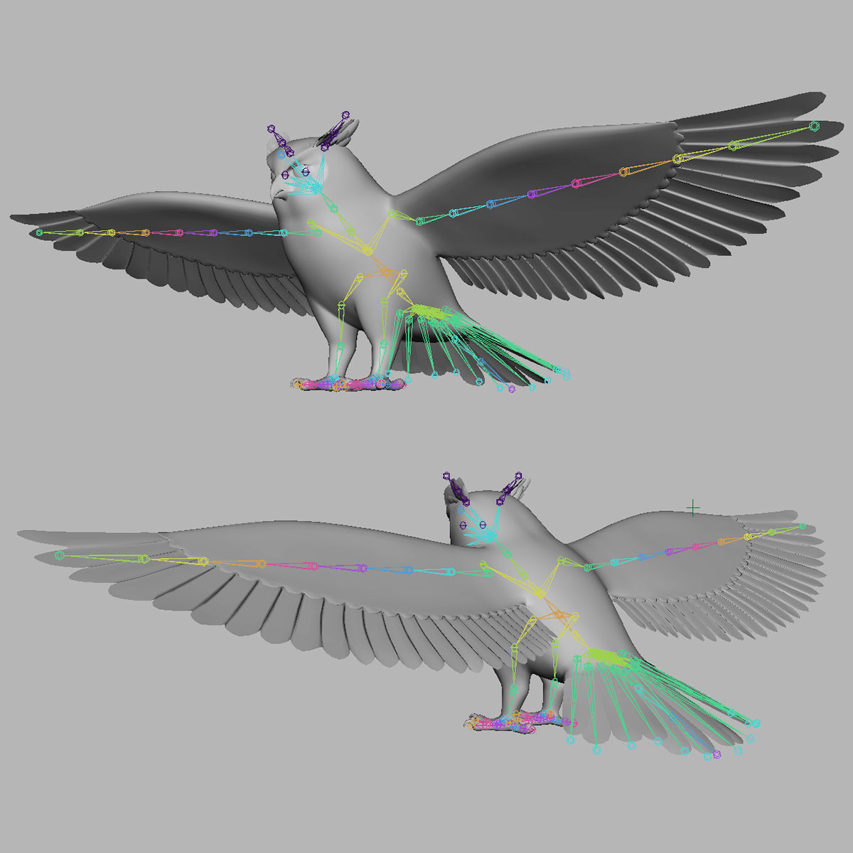 Great Horned Owl - Flight 3D model_13